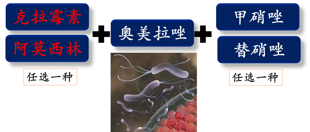 《药学专业知识二》高频考点：红霉素考点汇总1
