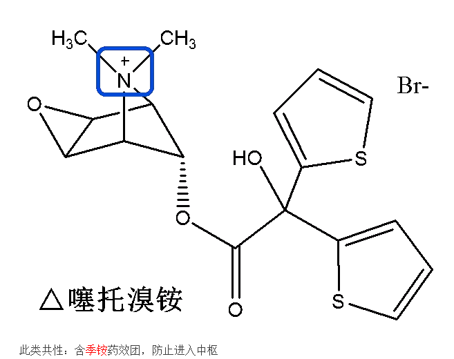 《药学专业知识一》高频考点：平喘药4