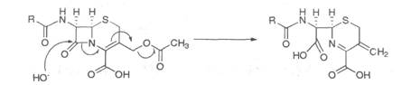 执业药师备考考点：药物化学  抗生素 β-内酰胺类抗生素2