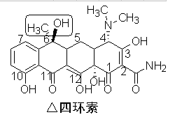 《药学专业知识一》高频考点：氨基糖苷类、大环内酯类、四环素类抗菌药物4