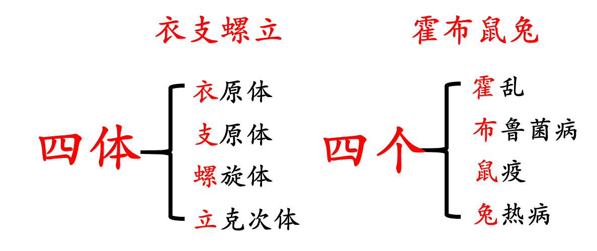 《药学专业知识二》高频考点：四环素类考点汇总1