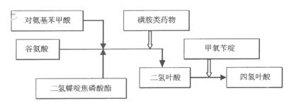 执业药师备考考点： 磺胺类药物及抗菌增效剂2