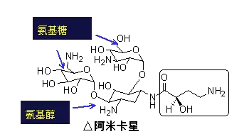 《药学专业知识一》高频考点：氨基糖苷类、大环内酯类、四环素类抗菌药物2