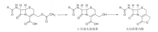 执业药师备考考点：药物化学  抗生素 β-内酰胺类抗生素3