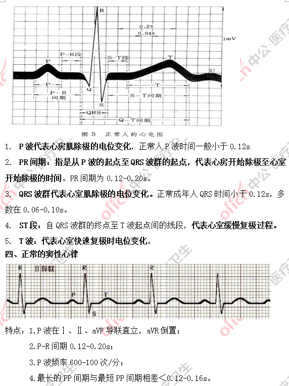 护理学考试考点：心电图基本知识2