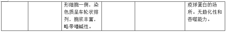 医学基础知识重点：病理学之炎症细胞的种类和主要功能3
