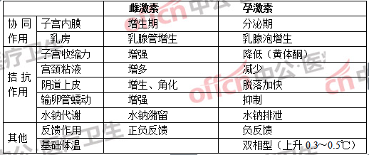 医学基础知识热点：关于女性生殖系统解剖生理的考点汇总2