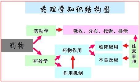 医疗卫生考试经验谈-药理学复习方法1