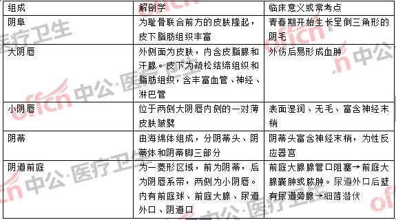 医学基础知识热点：关于女性生殖系统解剖生理的考点汇总1