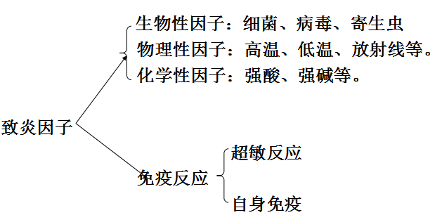 医学基础知识重点：病理学之炎症概念和原因1