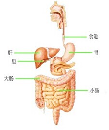 医疗卫生招聘考试临床知识重点：上消化道出血的讲解与练习1