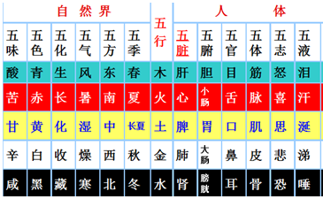 医疗卫生招聘考试中医学基础知识：事物五行属性归类表1