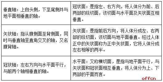 医学基础知识考试题库：人体解剖学姿势、方位术语与人体的轴与面3