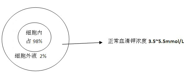 医疗卫生招聘考试临床医学：六个字快速记钾代谢异常的病因1