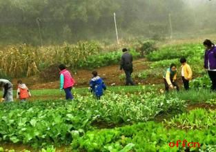 2017招警申论热点话题：“种田课”让教育回归实践1