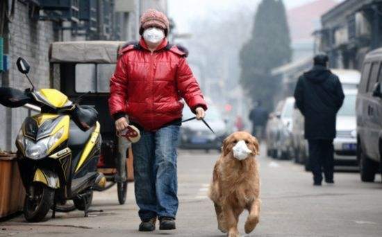 2017上海公务员面试热点：PM2.5仍超国家标准1