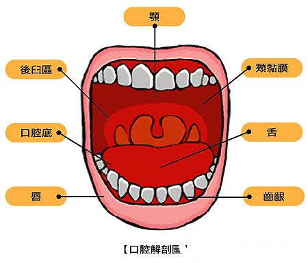 口腔医学考研辅导：口腔癌症状与体征诊断1